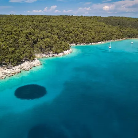 דירה 11 לופאר