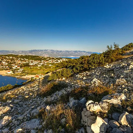 11 דירה לופאר